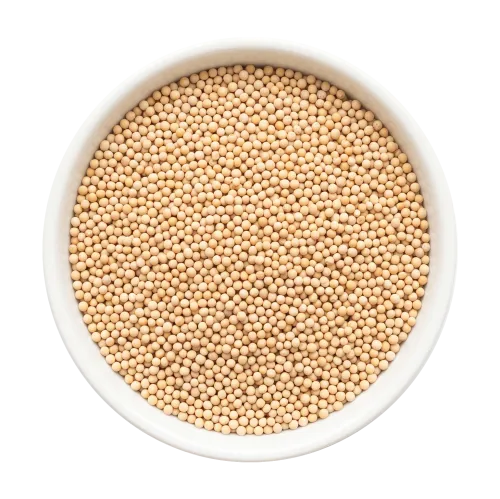 Yellow Mustard Seeds