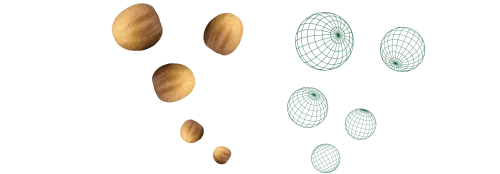 Semini